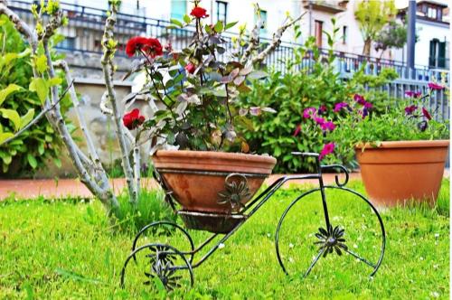 Apartment with one bedroom in Calvello with WiFi - main image