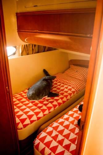 Property with one bedroom in Souselo with wonderful sea view 40 km from the beach - image 6