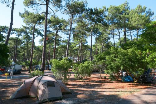 Camping Campéole Plage Sud - Maeva - Camping - Biscarrosse
