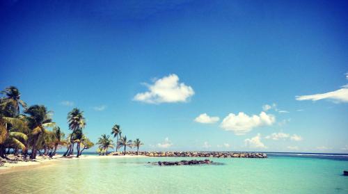 Vista Exterior, Studio tout confort à Sainte-Anne - 39 m² - Vue sur jardin (Studio tout confort a Sainte-Anne - 39 m² - Vue sur jardin) in Berard