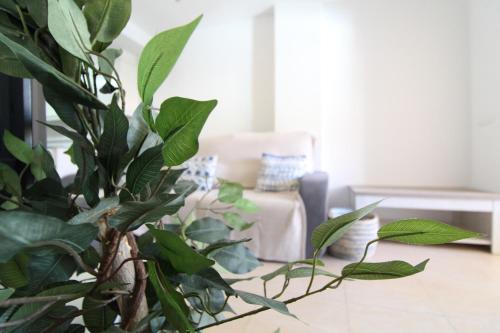 Apartamento en la playa de Canet d'en Berenguer - image 10