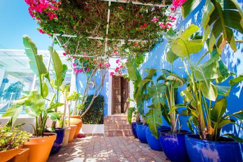 Quinta Santa Inês gîte à louer Ilha do Coco