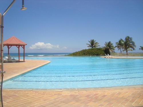Swimming pool, Nid tropical pour deux in Saint Francois