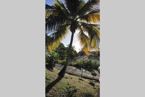 Charmant bungalow F3 sur la plage de petite anse, Bouillante in Bouillante