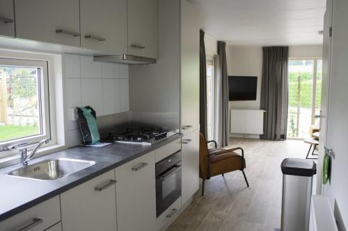 6-persoons Veluwelodge XL - image 14