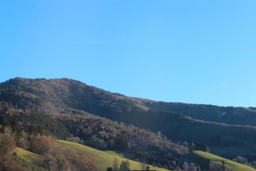 Hotel Gasthaus Zur Linde