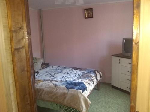 Хатина в горах, Yablunytsya (foto 8)
