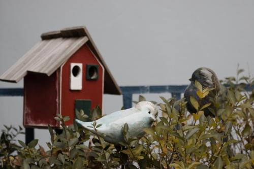 Ister Guesthouse - image 2