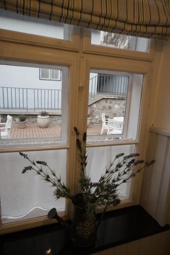 Ister Guesthouse - image 11