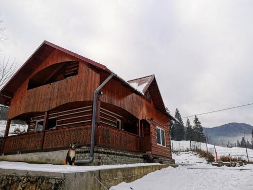 Căsuța din Pădure - image 10