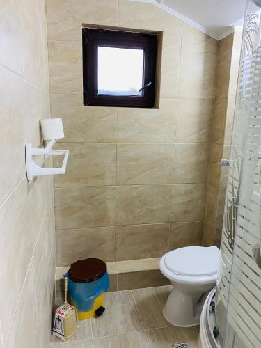 Pensiunea DEDU - image 10