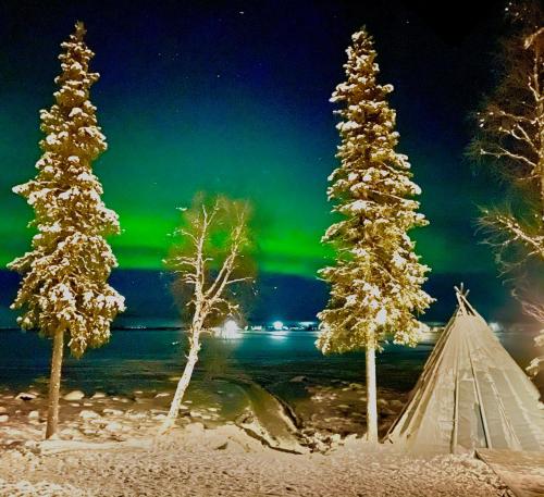 Northern Light Camp - Hotel - Kiruna