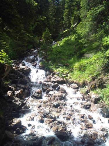 Chalet Waldperle in Arosa, Schweiz
