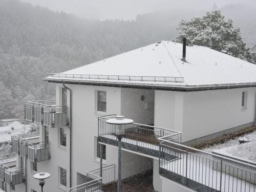 Lovely apartment in Willingen with balcony close to ski lift