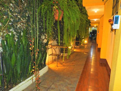Hostal Antigua, Antigua Guatemala (foto 3)