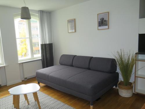 One-Bedroom Apartment image 4