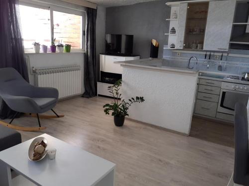 廚房, Apartments by the sea Brist, Makarska - 11039 in 巴斯