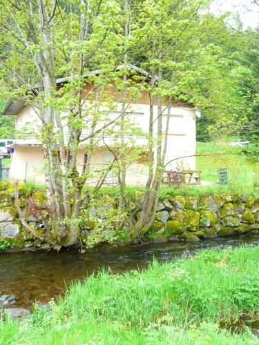 House with 4 bedrooms in Xonrupt Longemer with wonderful mountain view enclosed garden and WiFi 5 km from the slopes - image 10