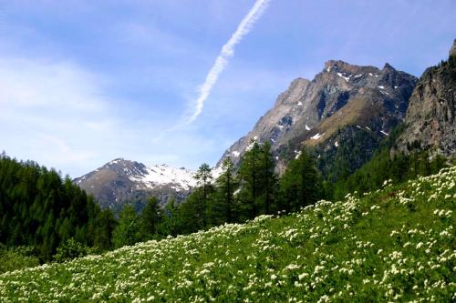 Appartement de 3 chambres avec jardin clos et wifi a Le coin a 1 km des pistes