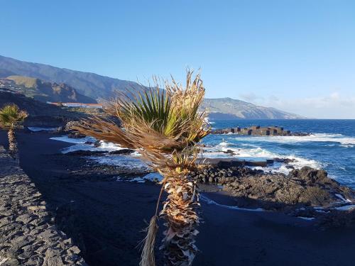 Apartment with one bedroom in Brena Baja with wonderful sea view shared pool furnished terrace - image 42