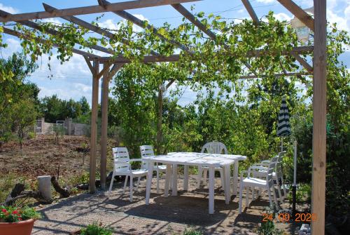 House with 3 bedrooms in Locorotondo with enclosed garden and WiFi 15 km from the beach - image 7