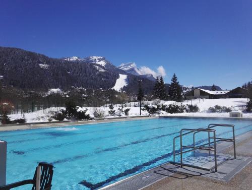 Appartement d'une chambre a Les Carroz a 400 m des pistes avec jardin amenage et wifi