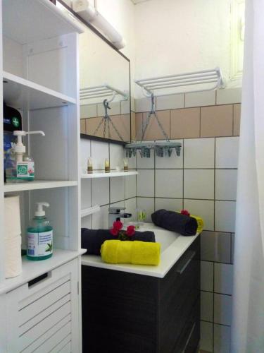 Baño, Maison de charme vue mer et montagne au François (Maison de charme vue mer et montagne au Francois) in Le Francois