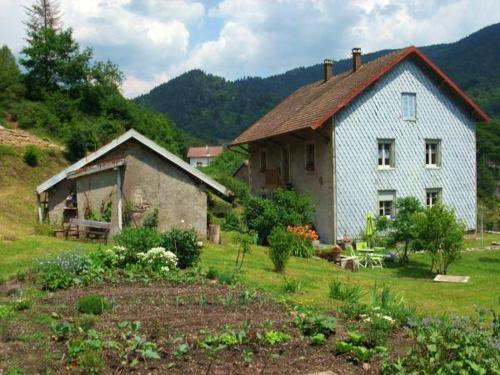 Appartement de 3 chambres avec jardin amenage et wifi a Plancher les Mines a 7 km des pistes - Apartment - Plancher-les-Mines