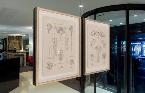 Elysées Ceramic - image 6