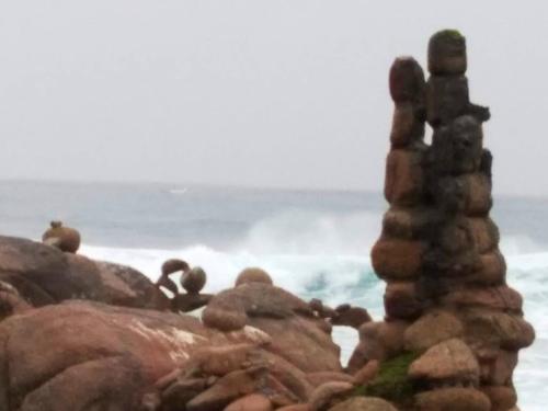  One bedroom appartement with city view enclosed garden and wifi at Camelle in Camelle