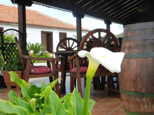 Apartment with one bedroom in Los Silos with furnished terrace and WiFi 5 km from the beach - image 8