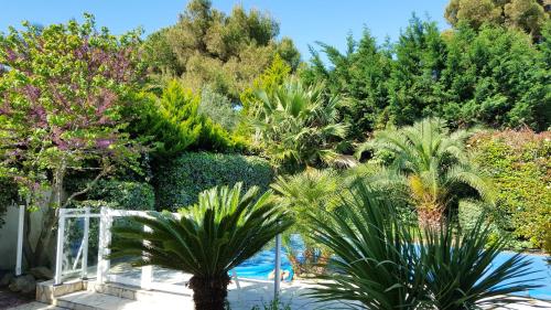 Villa de 4 chambres avec piscine privee jardin clos et wifi a Agde a 1 km de la plage