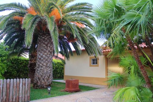 3 bedrooms house at Porto Santo 500 m away from the beach wi, Porto Santo