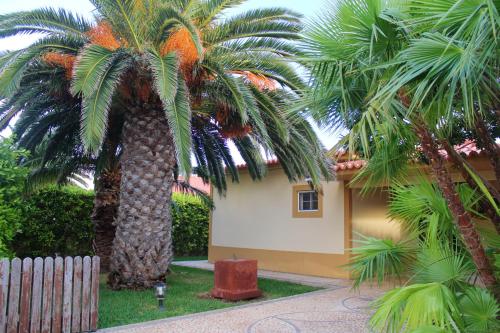 . 3 bedrooms house at Porto Santo 500 m away from the beach with enclosed garden and wifi