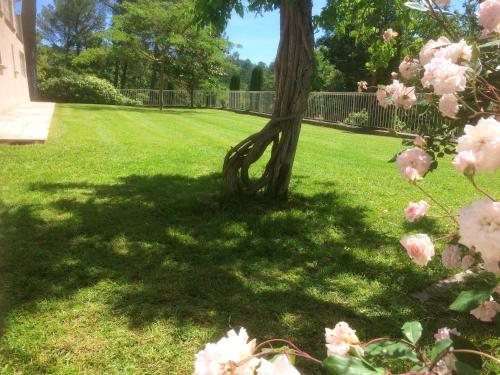 Villa with 4 bedrooms in Saint Maximin la sainte Baume with private pool enclosed garden and WiFi 30 km from the beach - image 7