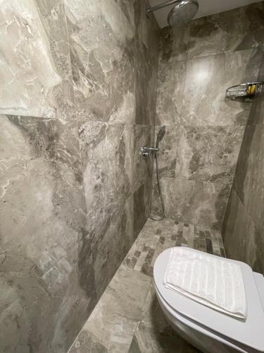 Venis Hotel - image 8