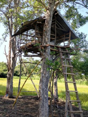 The Nature Park Villa