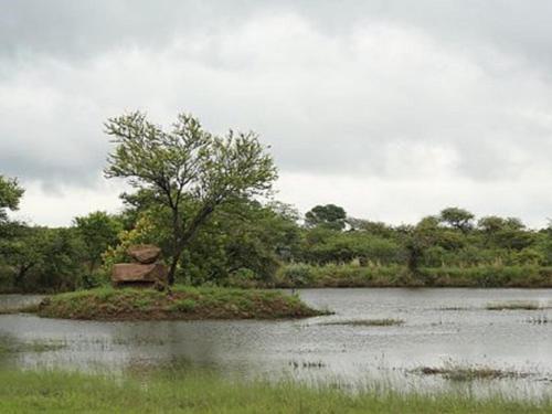 Morekuri Safaris