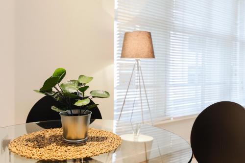 Trafalgar Square Apartments - image 8