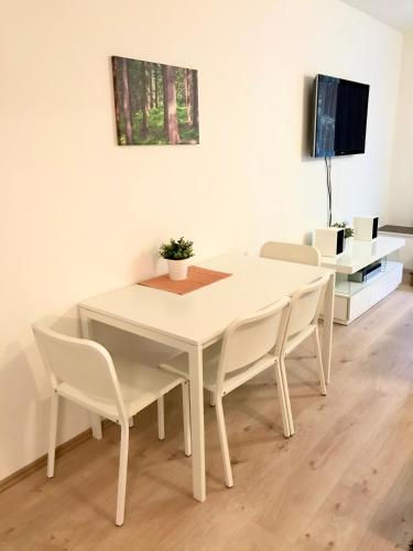 Čertovka Trojka - apartmán Harrachov