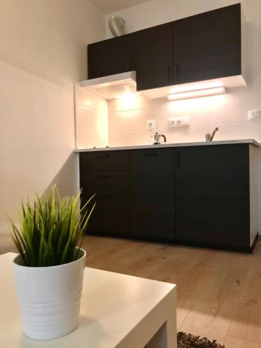 Čertovka Trojka - apartmán Harrachov
