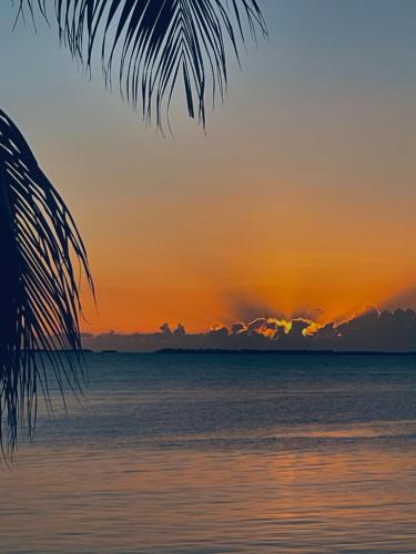 Villas Mar Azul Dreams #6 - image 6