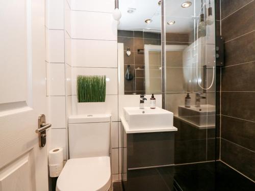 Rhum Cottage in 披特因