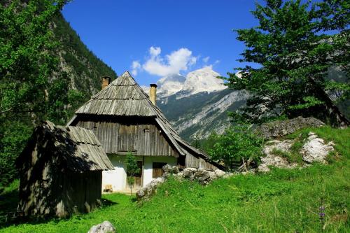 Hotel Alp - image 12