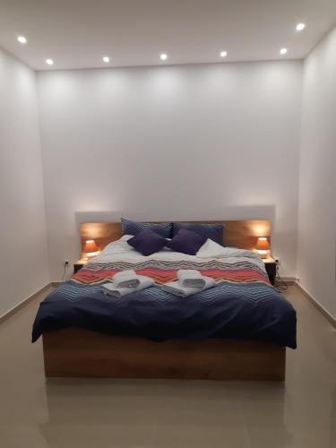 Villa Anela in Veternicka Rampa