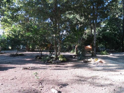 Garden, Cabanas Calakmul in Conhuas