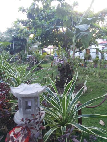 Gardenview Homestay Siargao