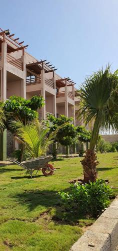 " لاڤيلا "منتجع شاليهات العرسان بمحايل عسير — Hotel in Muhayil