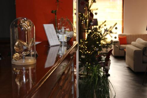 North Star - image 2