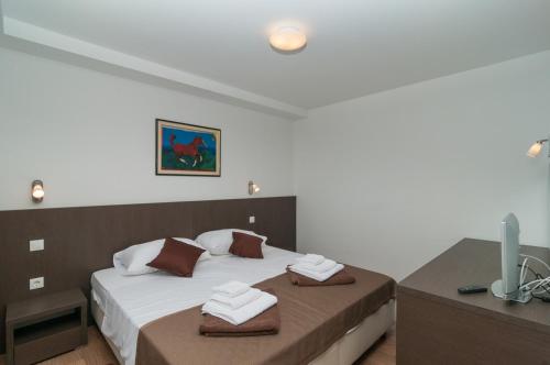 Villa Dino Luxury villa on Brac, private pool